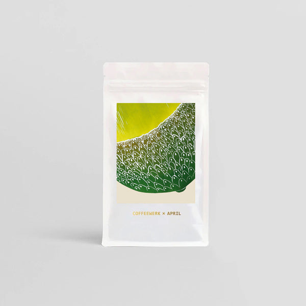 Coffeewerk X April | EL SOCORRO | Washed Guatemala Filter