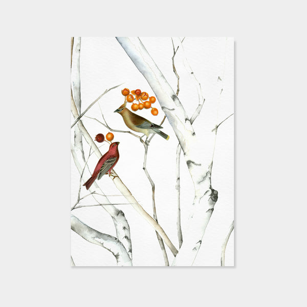 Birch Swingers | Amy Ross