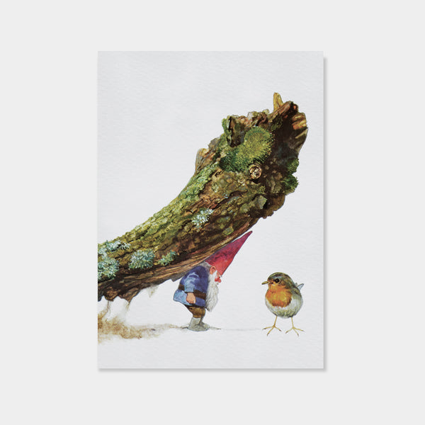 The Robin And The Gnome | Rien Poortvliet